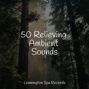 50 Relieving Ambient Sounds album