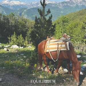 Equilibrium by Taylor T