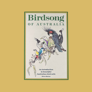 Brown Thornbill by Helen Horton