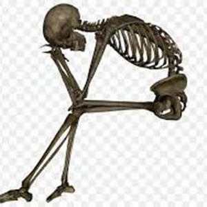 wifiskeleton - I'm Not Alex G, and Ur Not Sarah