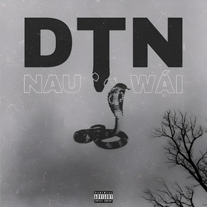 D.T.N by Nauwái