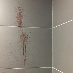 antiyono - The Animistic Anti-Ono Band