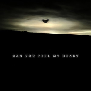 Can You Feel My Heart by REEBZ