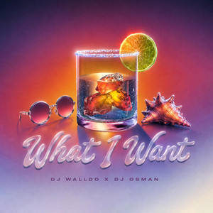 WHAT I WANT by Dj Walldo, DJ OSMAN