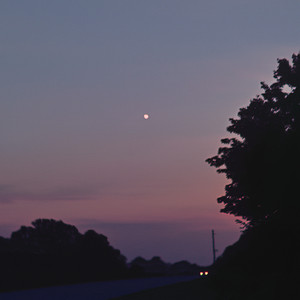 MAɌɌELLA — cover art by WHORLTOOTH