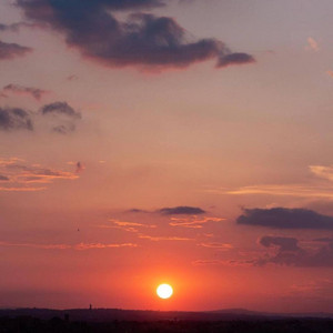 Soft Boy - Sunset
