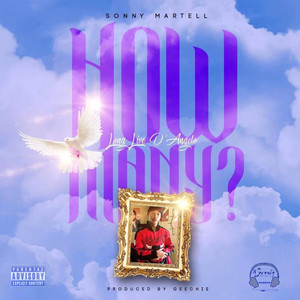 Portada de How Many