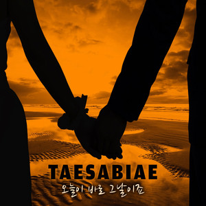 오늘이 바로 그날이죠 - Instrumental by TAESABIAE
