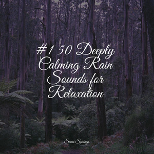 #1 50 Deeply Calming Rain Sounds for Relaxation album