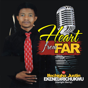 Ifechiga Justin Ekenedirichukwu - Never Let You Go