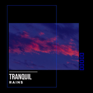 # 1 Album: Tranquil Rains album