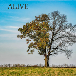 alive by Sendakure