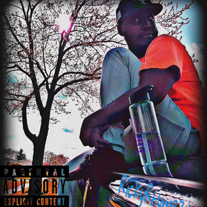 Portada de Solo Tripper