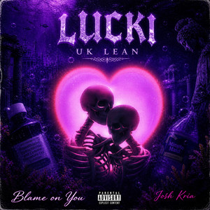Blame On You! by Josh Krider