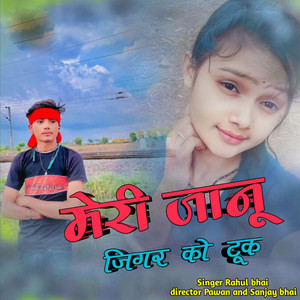 Rahul Bhai - Meri Janu Jigar Ko Took