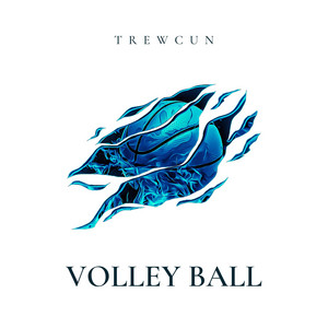 Volley Ball by Trewcun