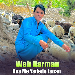 Wali Darman - Da Zama Aw Sta Yari Grana