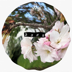 Dans by Reverse Stereo