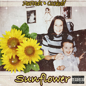 DonDada - Attraction & Distraction