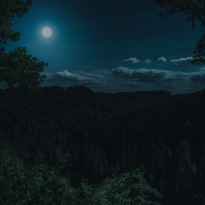 Bendelionn - I Wanna Be Yours