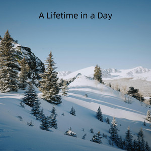 This One Life by Amber Fury