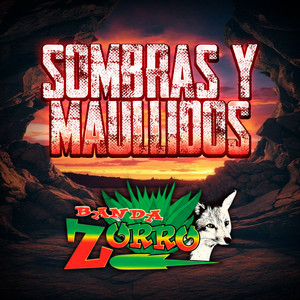 Sombras y Maullidos