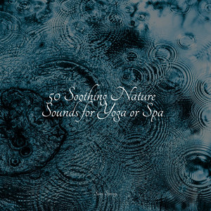 50 Soothing Nature Sounds for Yoga or Spa album