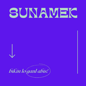 Swing Nay by Sunamek