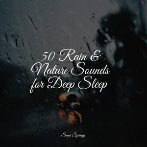 50 Rain & Nature Sounds for Deep Sleep album