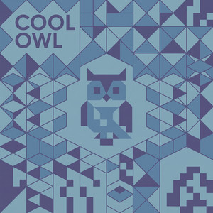 Cool Owl by Esmé Sol