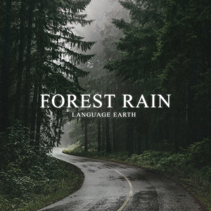 Forest Rain Sounds in the PNW by Language Earth