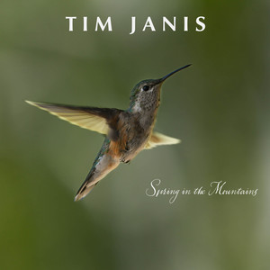 Spring in the Mountains by Tim Janis