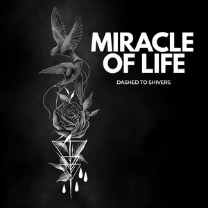 MIRACLE OF LIFE — Cover