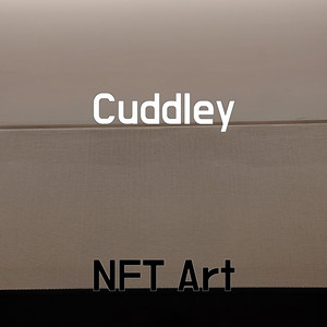 NFT Art - Cuddley