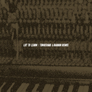 Luke Christopher - Lot to Learn (Tungevaag & Raaban Remix)