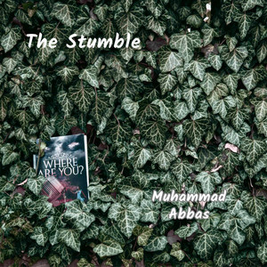 The Stumble by Muhammad Abbas