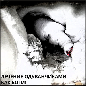 Как боги!