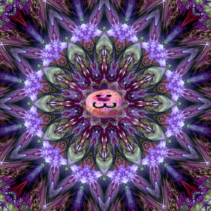 Transcendental Donut by Mathu