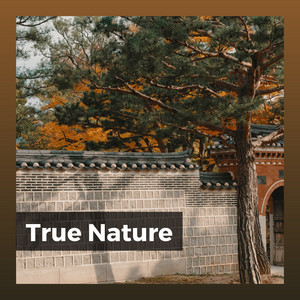 True Nature album