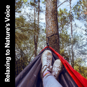 Relaxing to Nature's Voice album