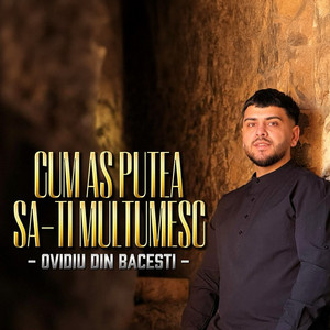 Ovidiu din Bacesti - Cum as putea sa-ti multumesc