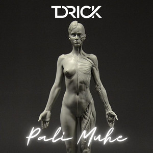 Pali Muhe by T-Drick, Jeon, Ritmo Real, Moww