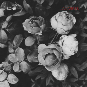 Sone