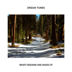 What Dreams Are Made Of by Dream Tunes