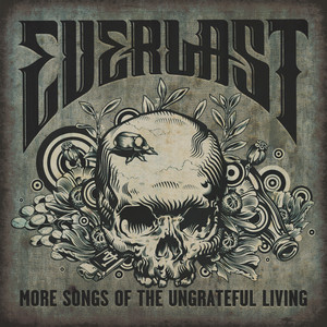 Everyone Respects the Gun by Everlast