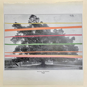 Propel by Sam Crouch, Peter Broderick