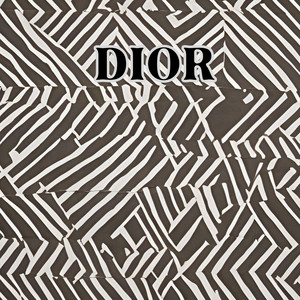 Dior by Shinara Amal