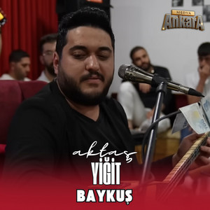 Yiğit Aktaş - Baykuş