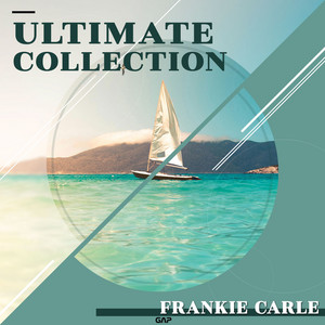 All the Cats Join In by Frankie Carle