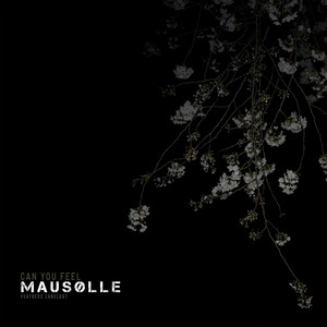 Can You Feel - Extended Mix by Mausolle